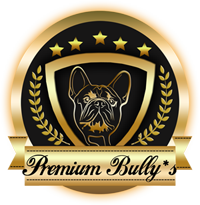 Premium Bullys – Französische Bulldoggen direkt vom Züchter aus Hannover